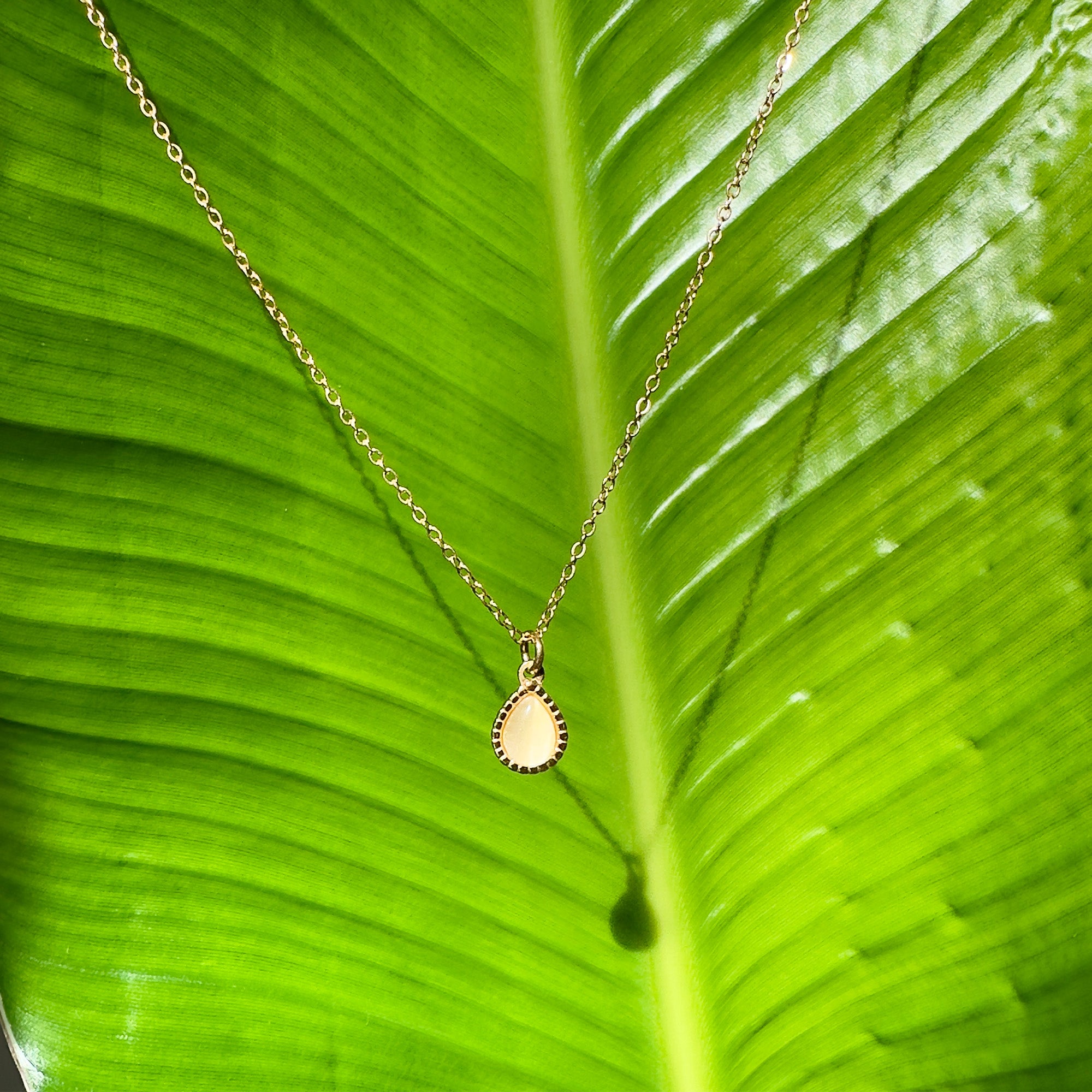Sera Teardrop Pendant Necklace