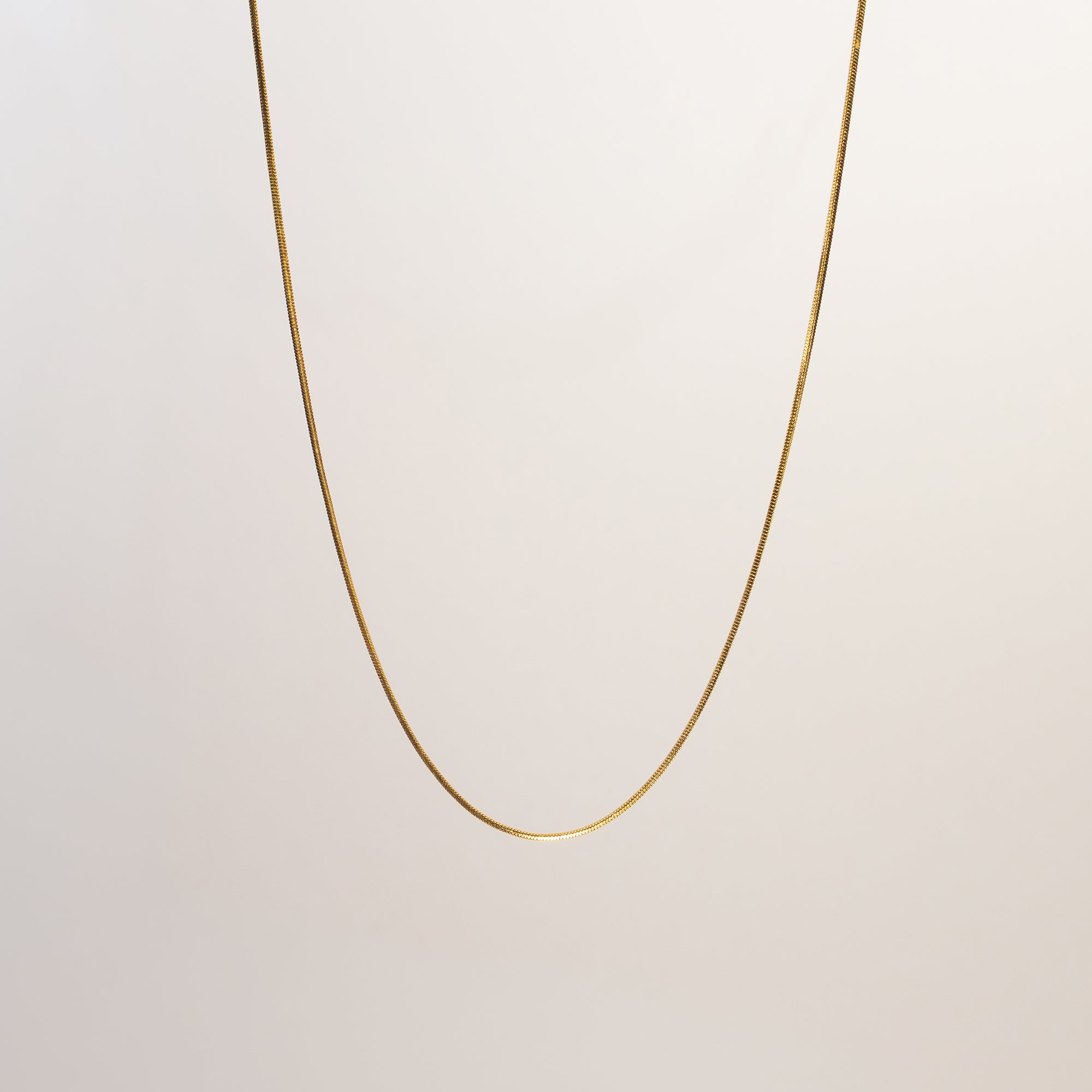 Lune Snake Chain Necklace