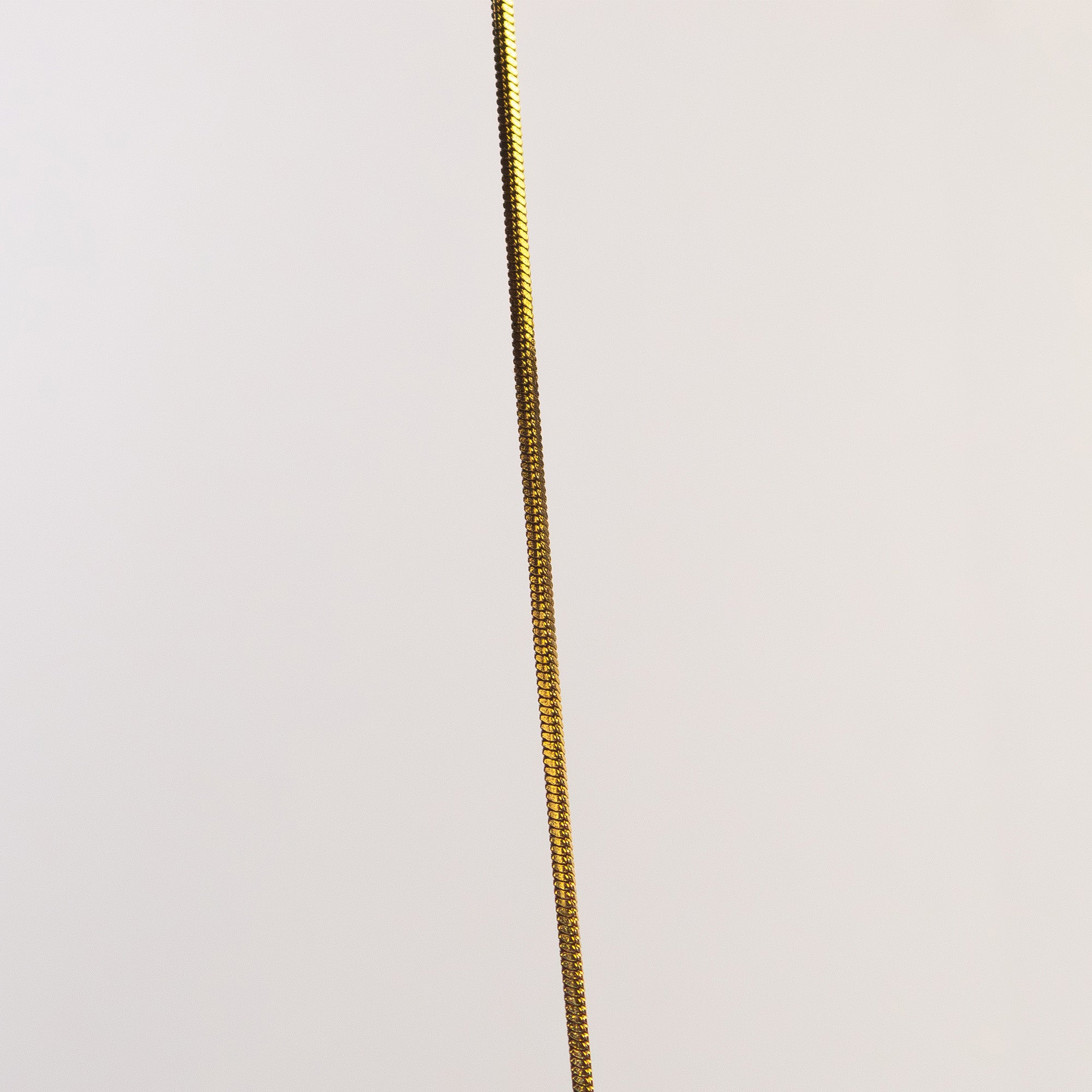 Lune Snake Chain Necklace